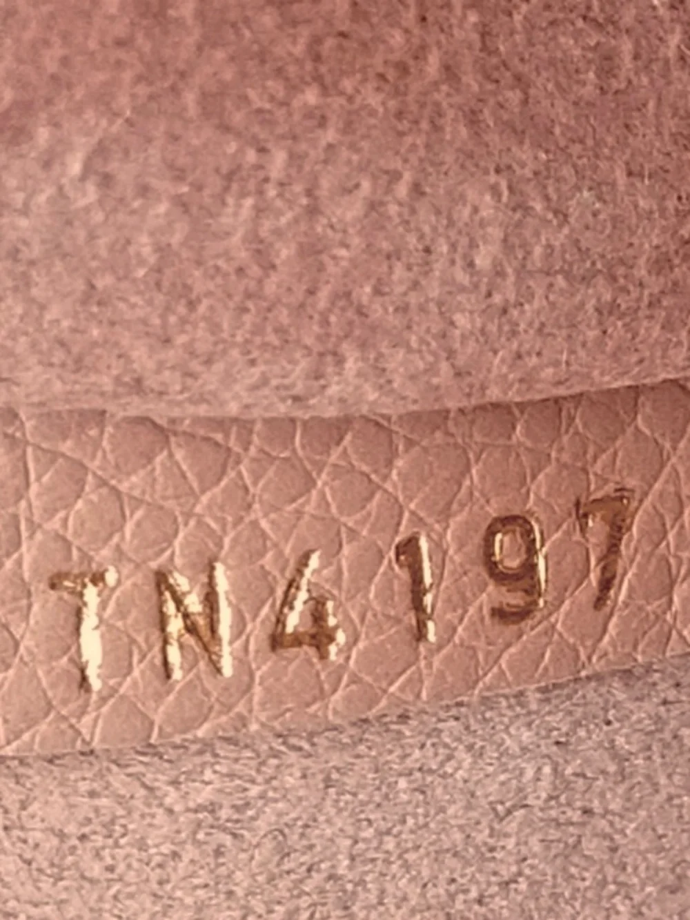Louis Vuitton Monogram Daily Pouch